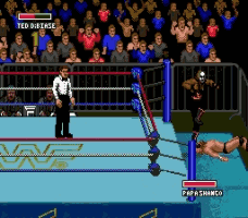 WWF Super Wrestlemania Screenthot 2